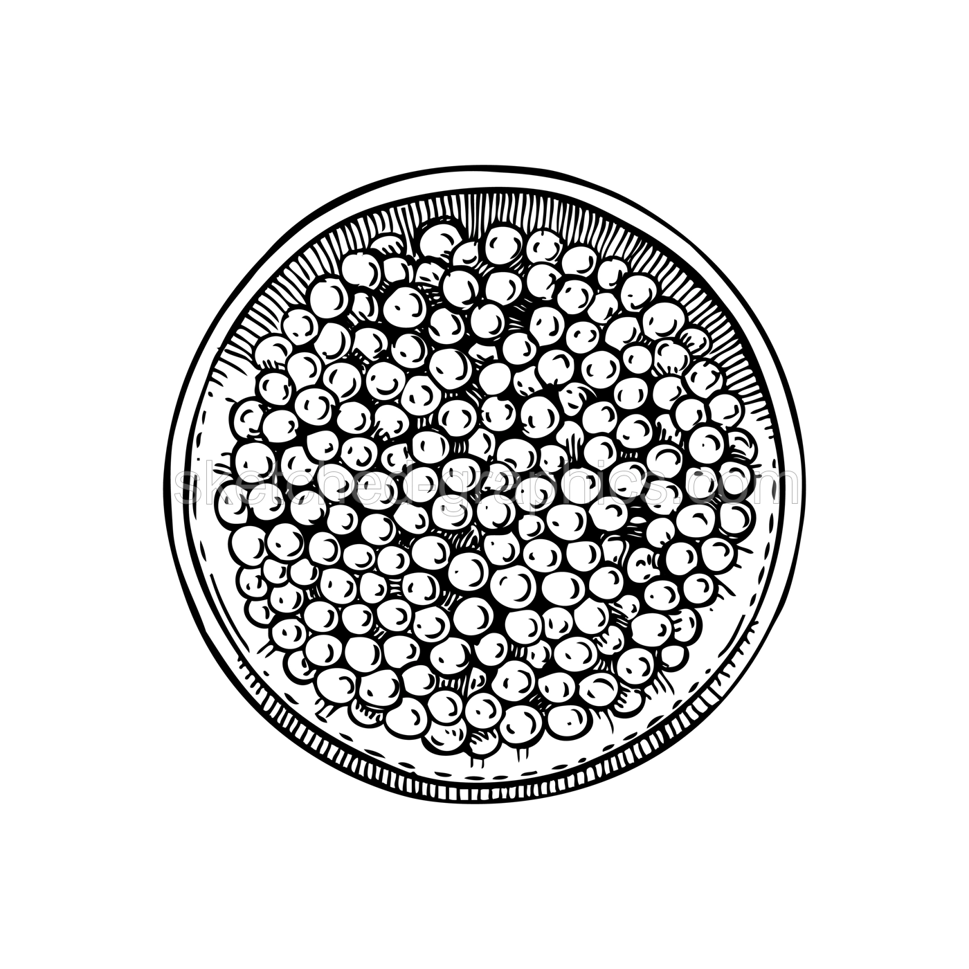 Hand-drawn sketch of canned caviar isolated on a white background. Red caviar in opened tin can vector drawing in engraved style. Seafood delicacy illustration for restaurant or finger food menu Illustration